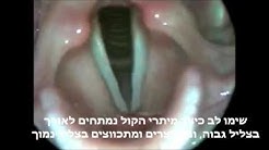 תמונה פנימית-רפואית של מיתרי קול